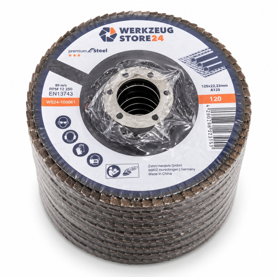 10x WS24 Fächerscheiben (Ø 125mm, P120)