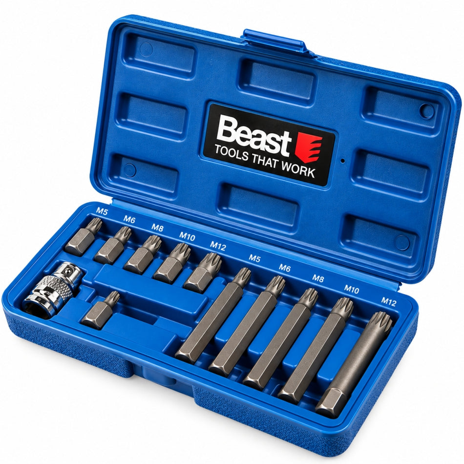 BEAST XZN Vielzahn-Bit-Satz (11-teilig, M5–M12) 340051