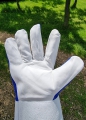 Bild 3 von Schweißerhandschuhe WIG MIG MAG (Gr. 10)  / (Menge) 12 Paar